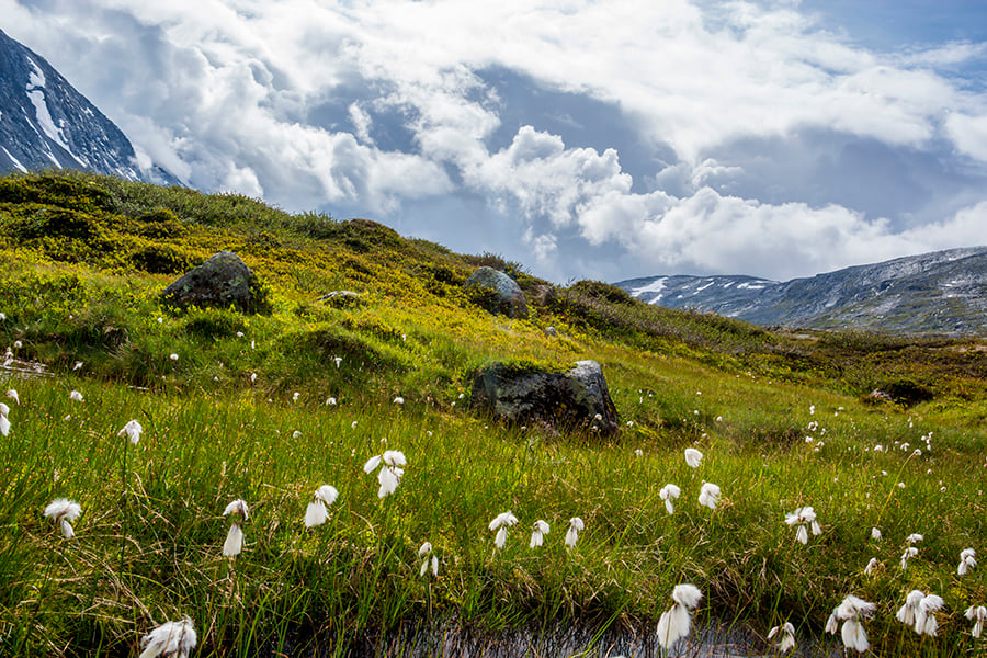 photo of a cloudy background