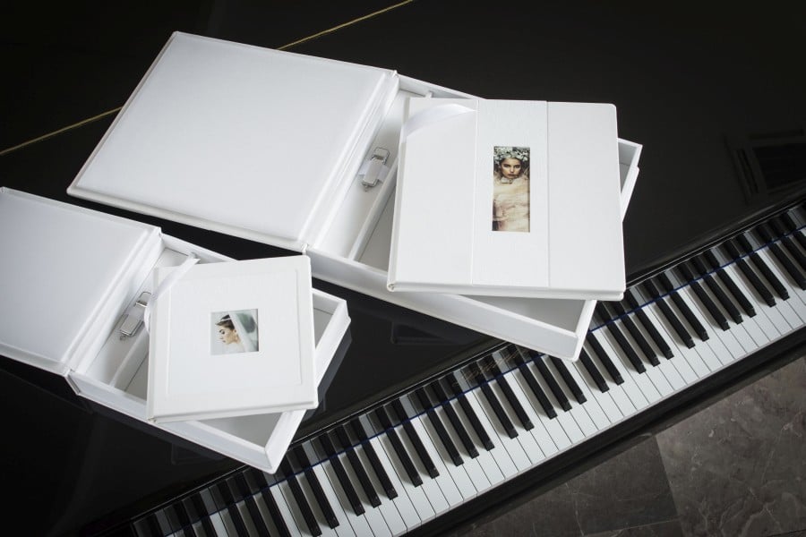 Professional Wedding album with USB