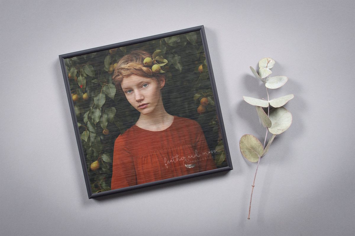 Aluminium Framed Dibond Metal Print