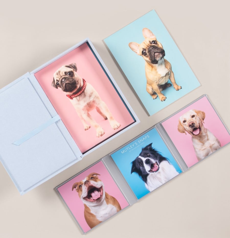 Pet Photography - Folio Box with Board Mounted Prints - Artwork by Mutleys Snaps