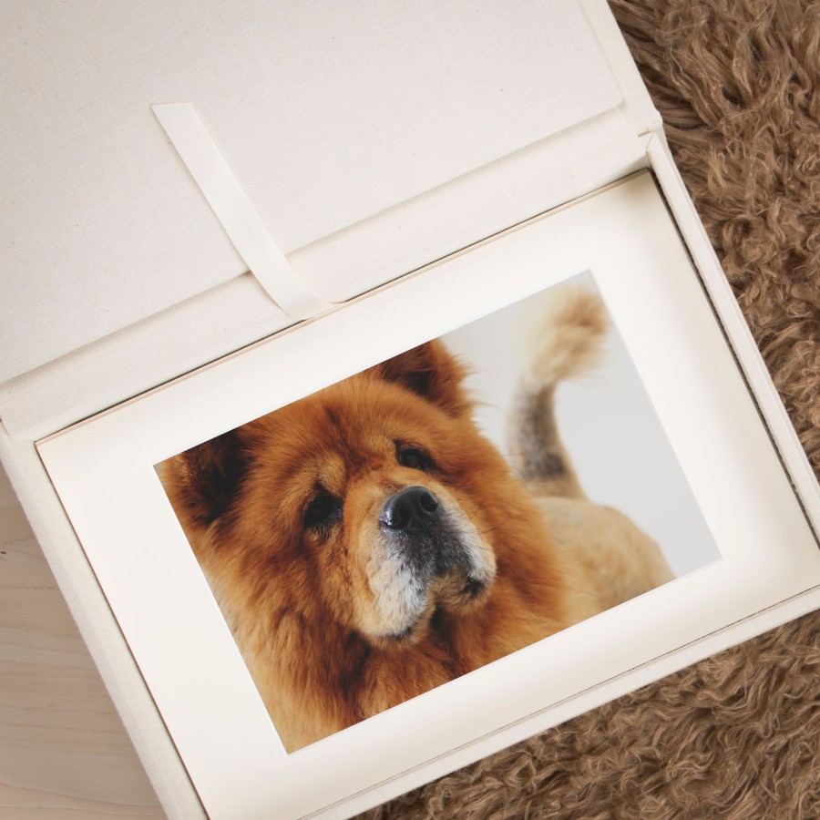 Folio Box Dog Photography