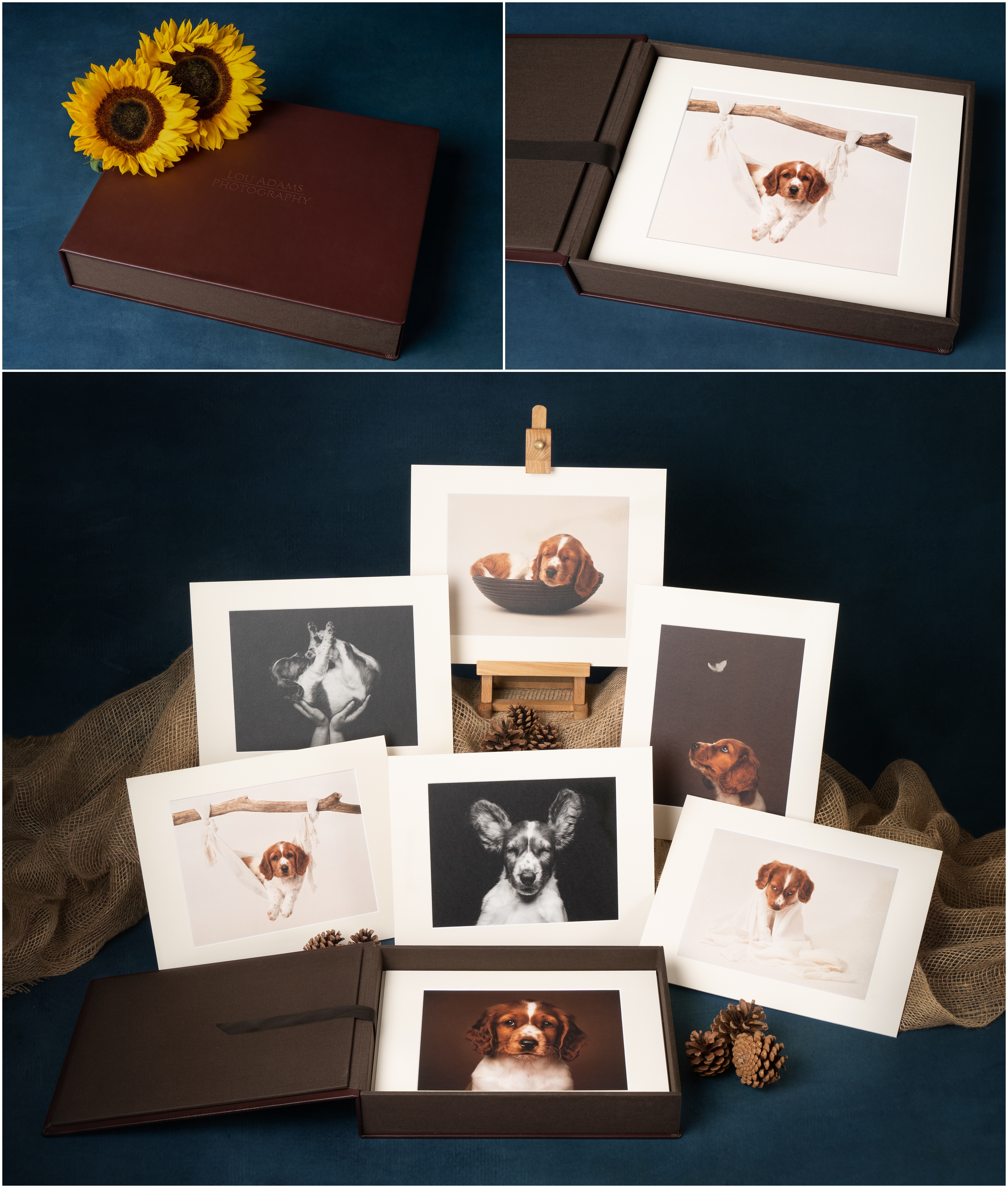 nPhoto  pet photography products Lou Adams Photography