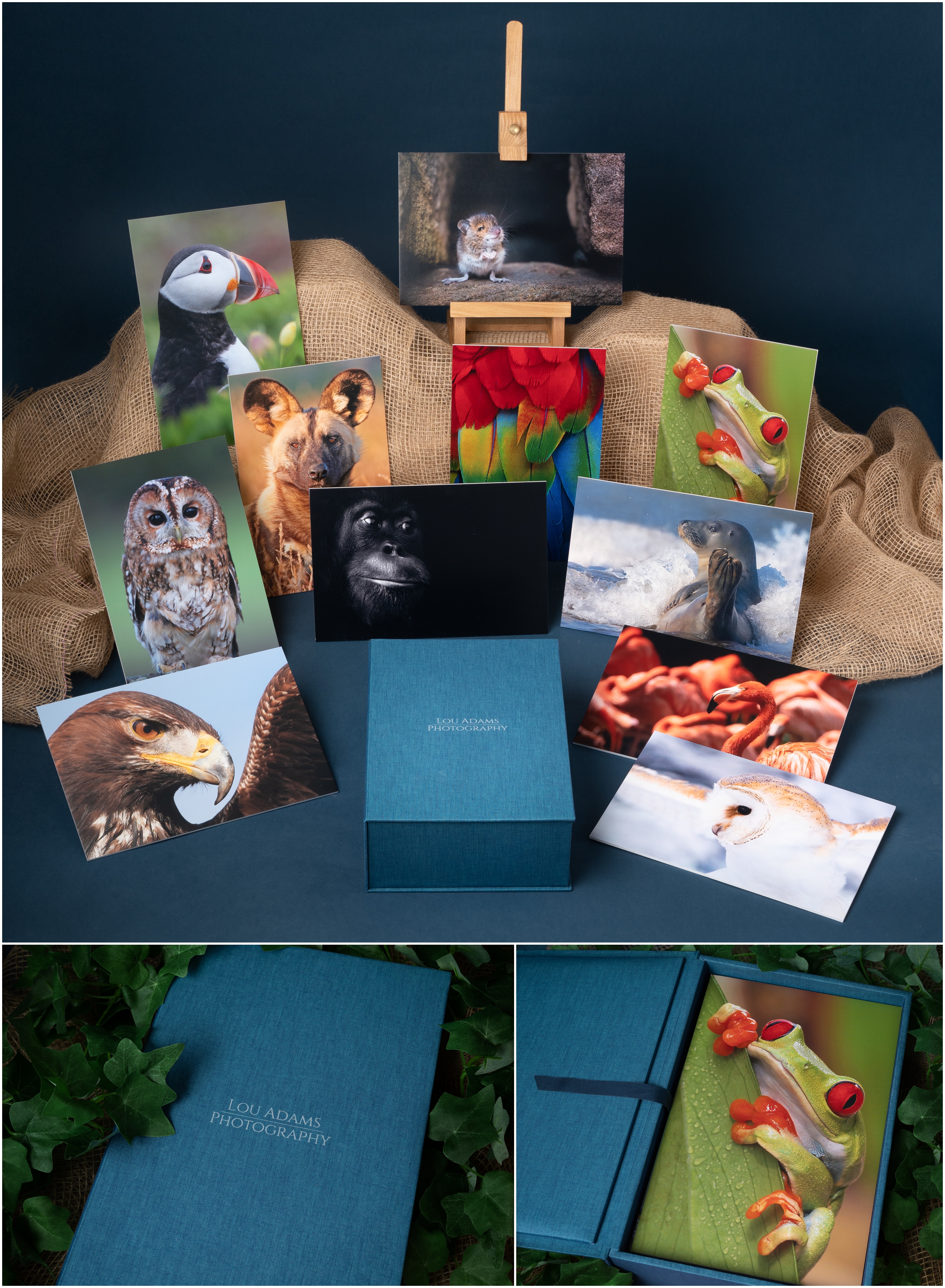 nPhoto Folio Box Lou Adams Photography