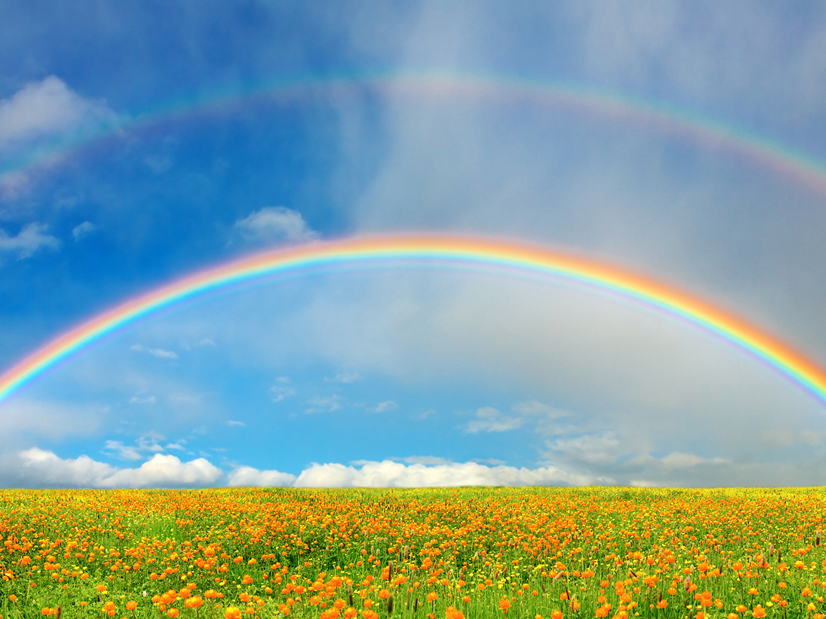 Highly edited photo of a rainbow