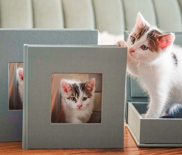 best print products for pet photographers