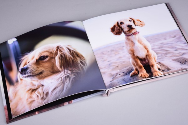 Photo book in 4K for Pet Photography