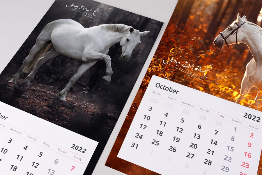 EQUINE_Calendar_HD (2)