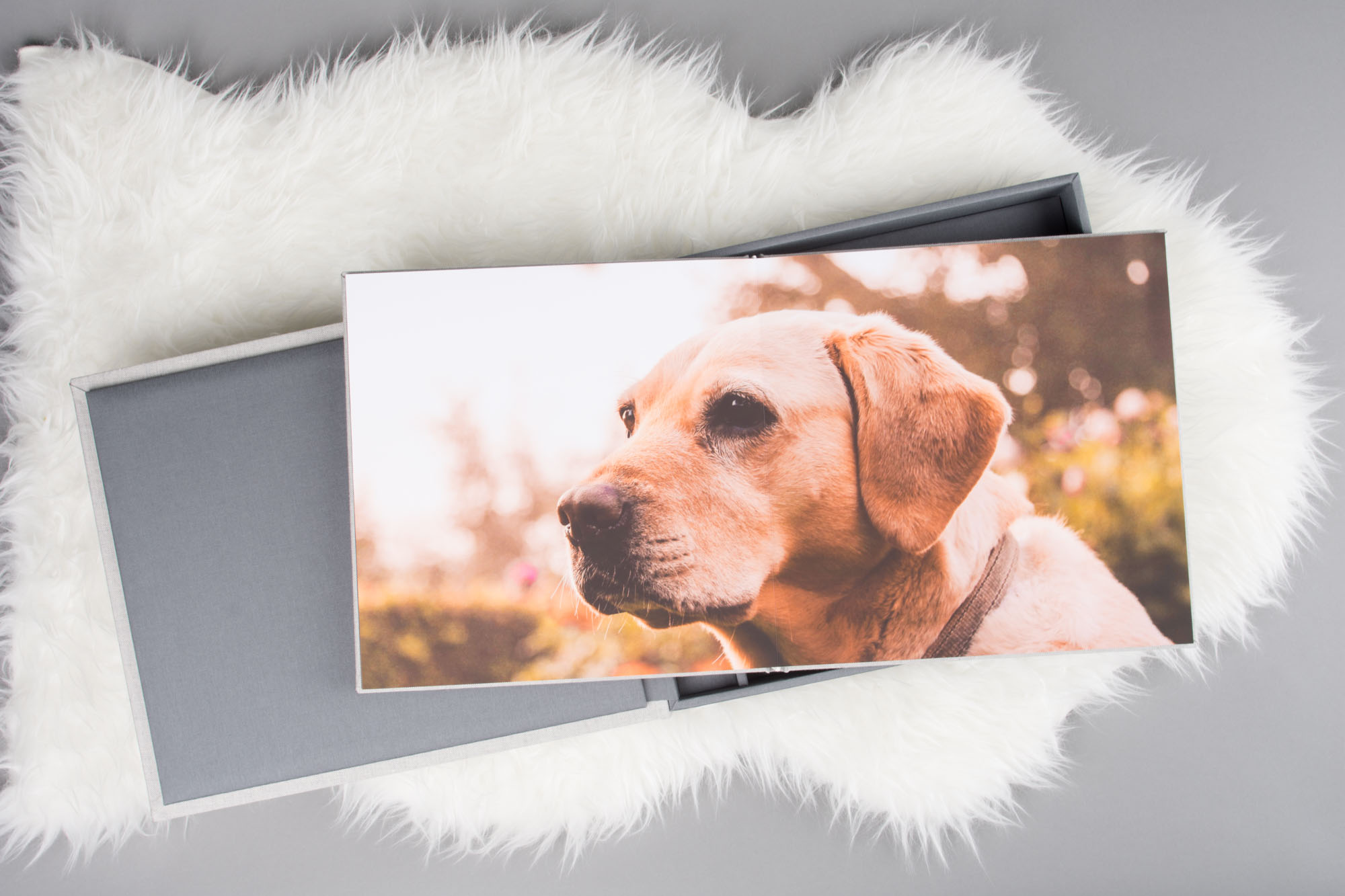 professional pet photo album