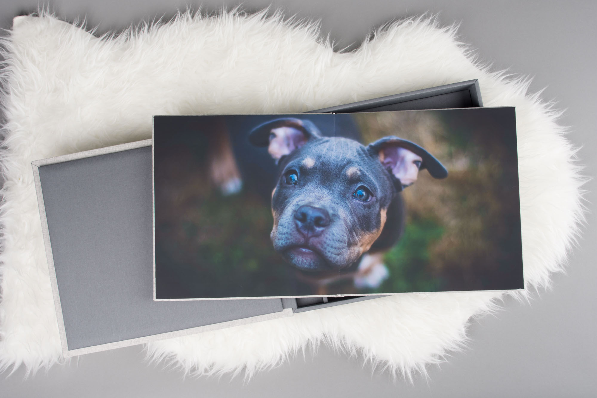 pro photo album and box for pet photographers