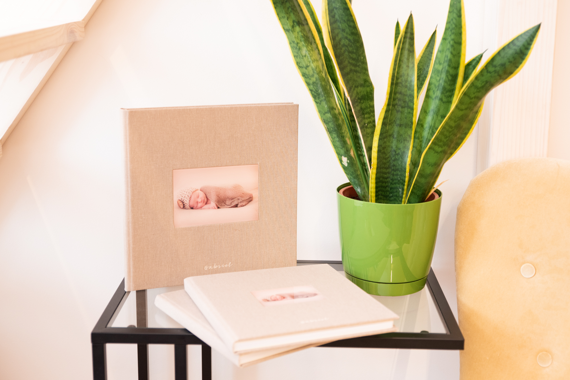 Professional Photo Album with cut-out window and newborn photography