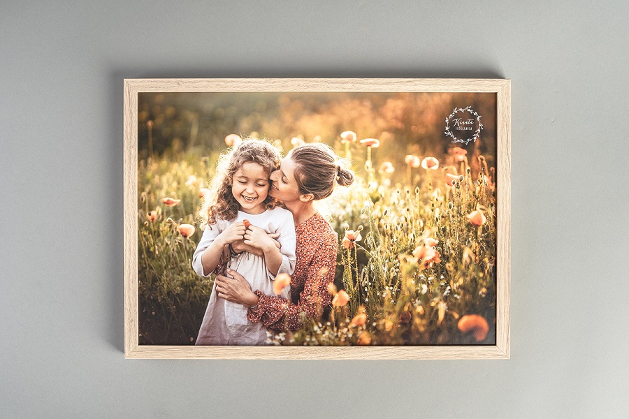 Framed Picture of Mother and Daughter