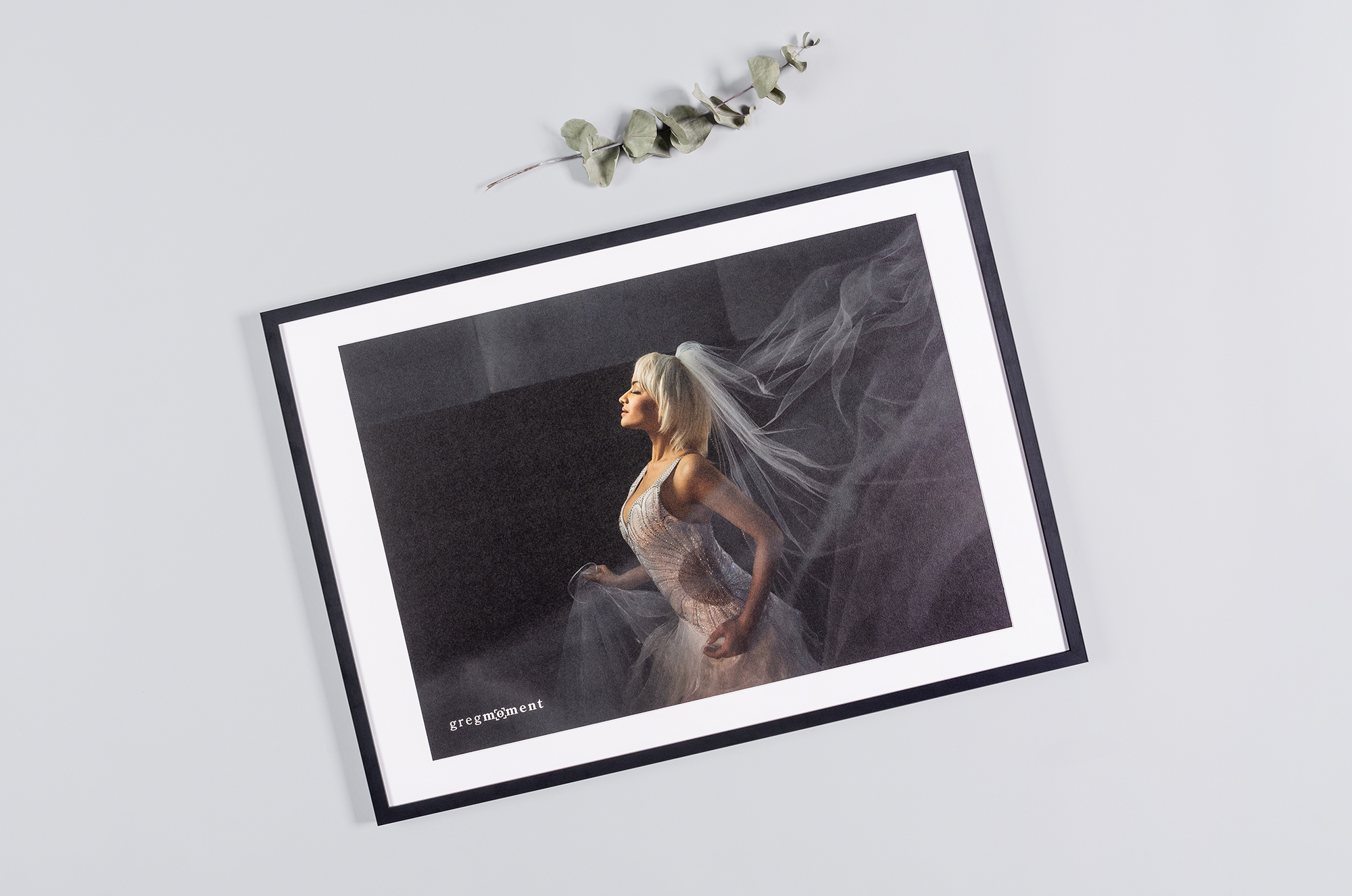 Professional Framed Prints