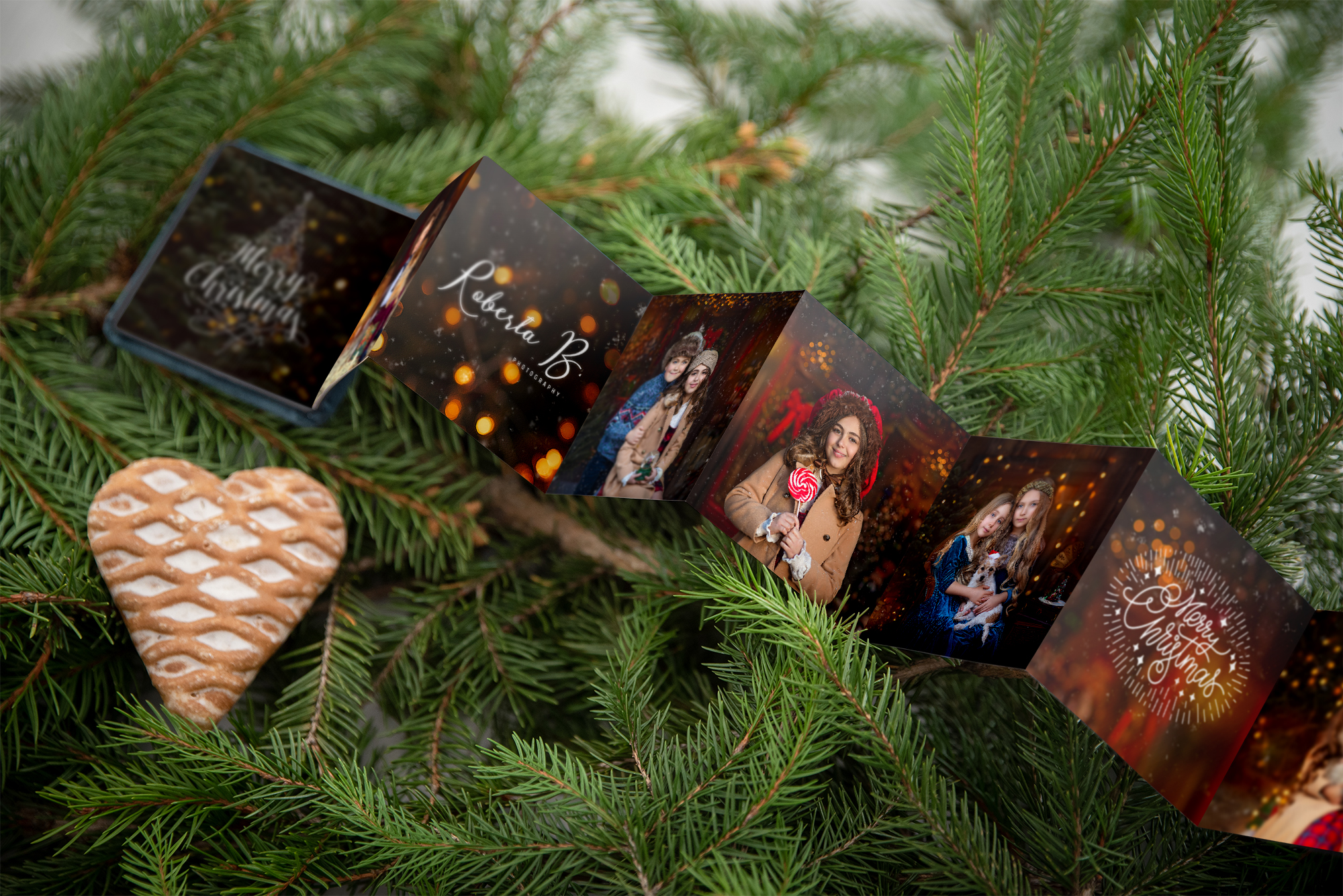 Christmas Mini Sessions Photo Brag Book