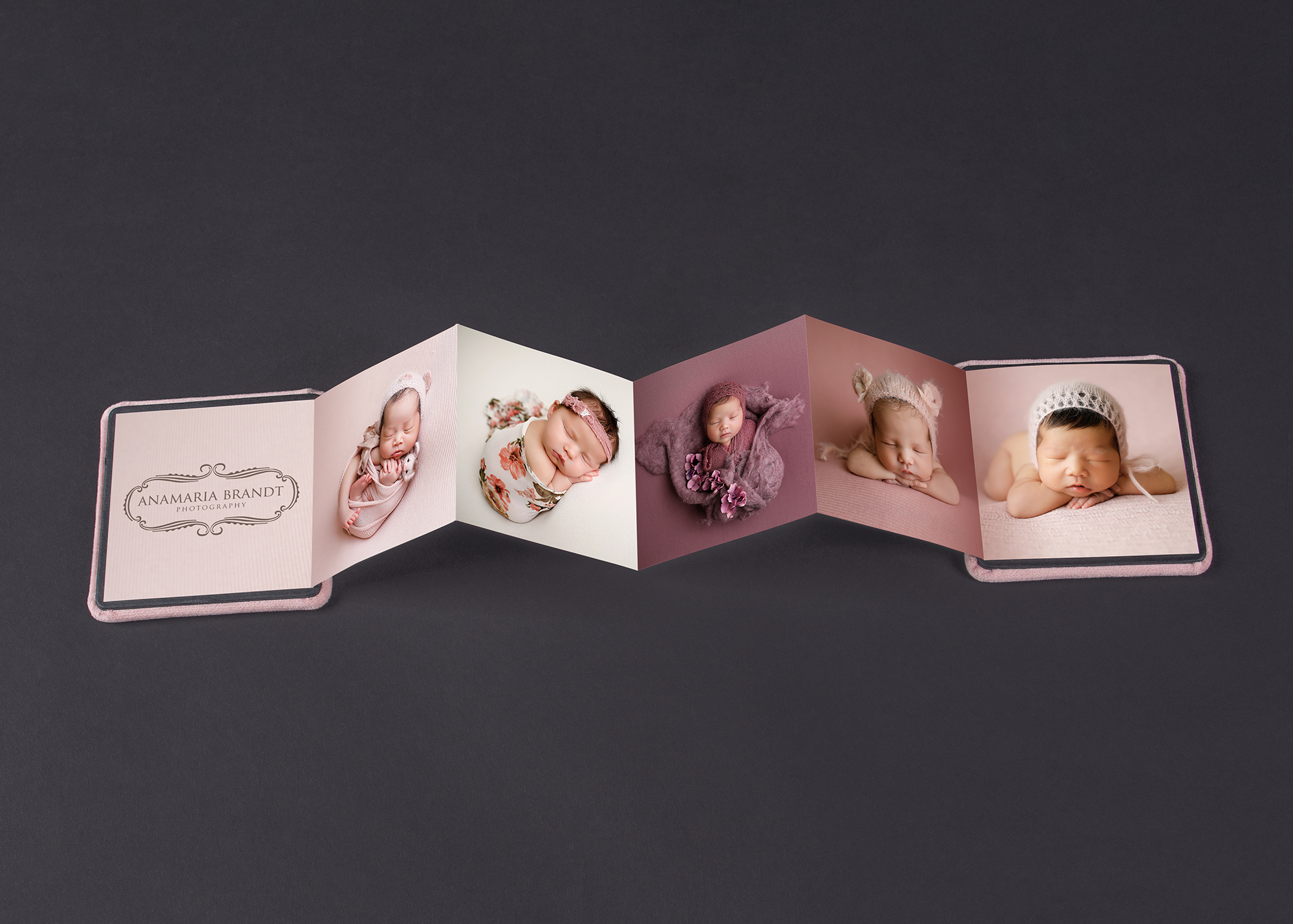 Professional Accordion Book with Ana Brandt Newborn Photography