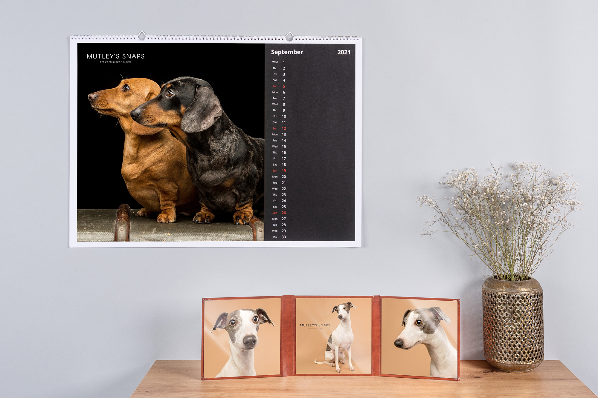 Dog Photography Calendar and Prints