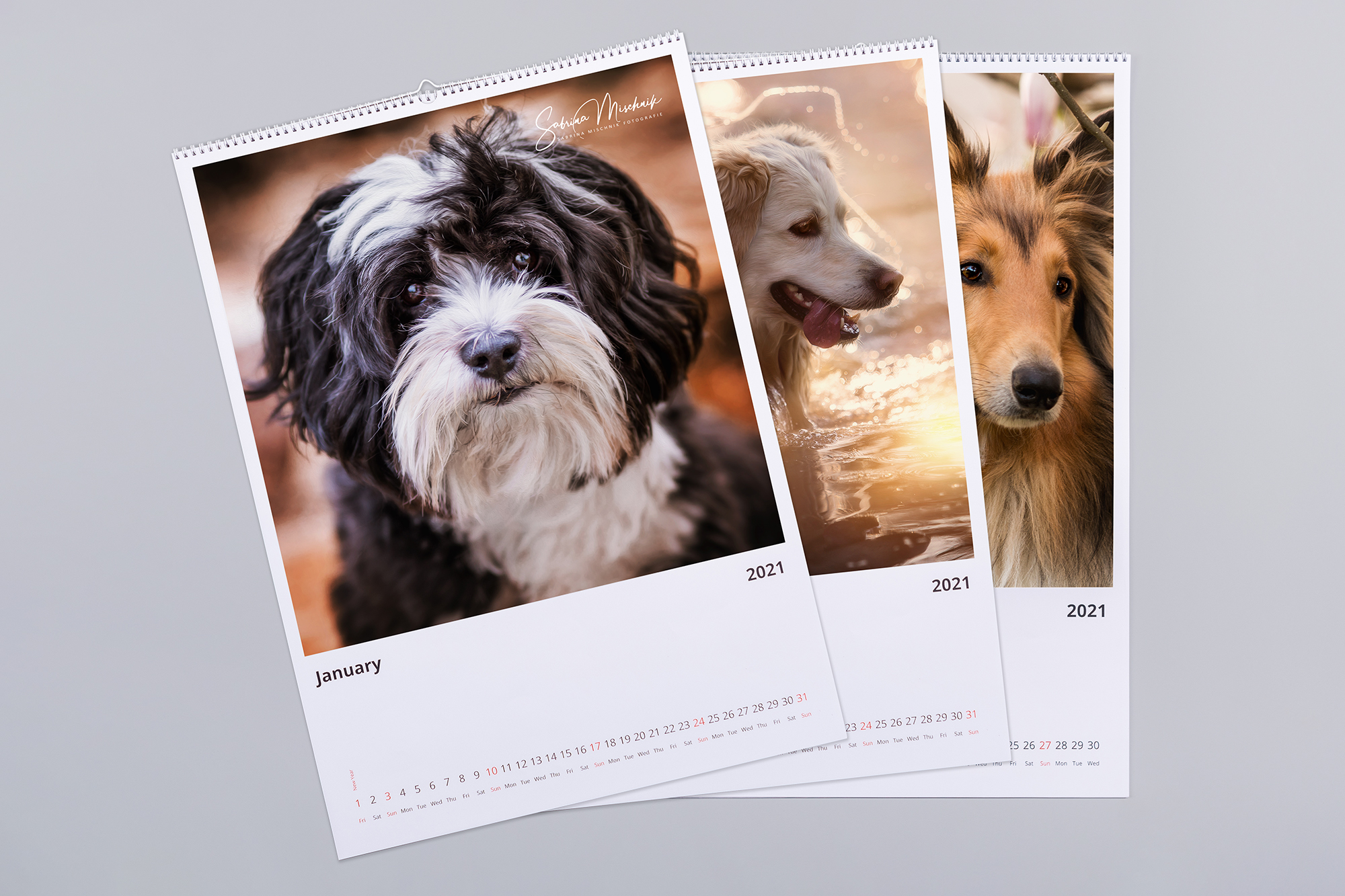 paw-prints-in-time-using-calendars-to-boost-your-pet-photography