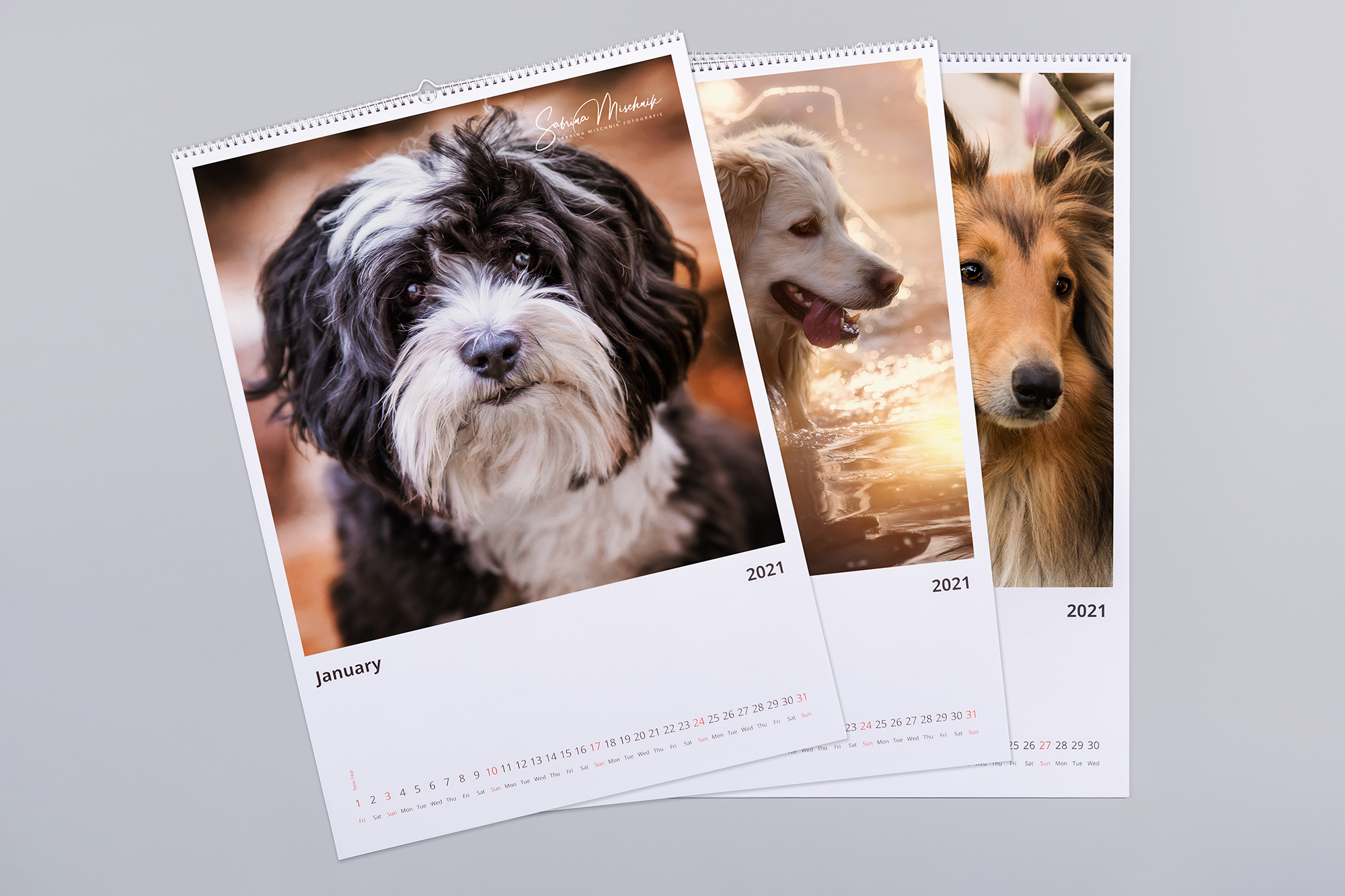 Paw Prints In Time Using Calendars To Boost Your Pet Photography 
