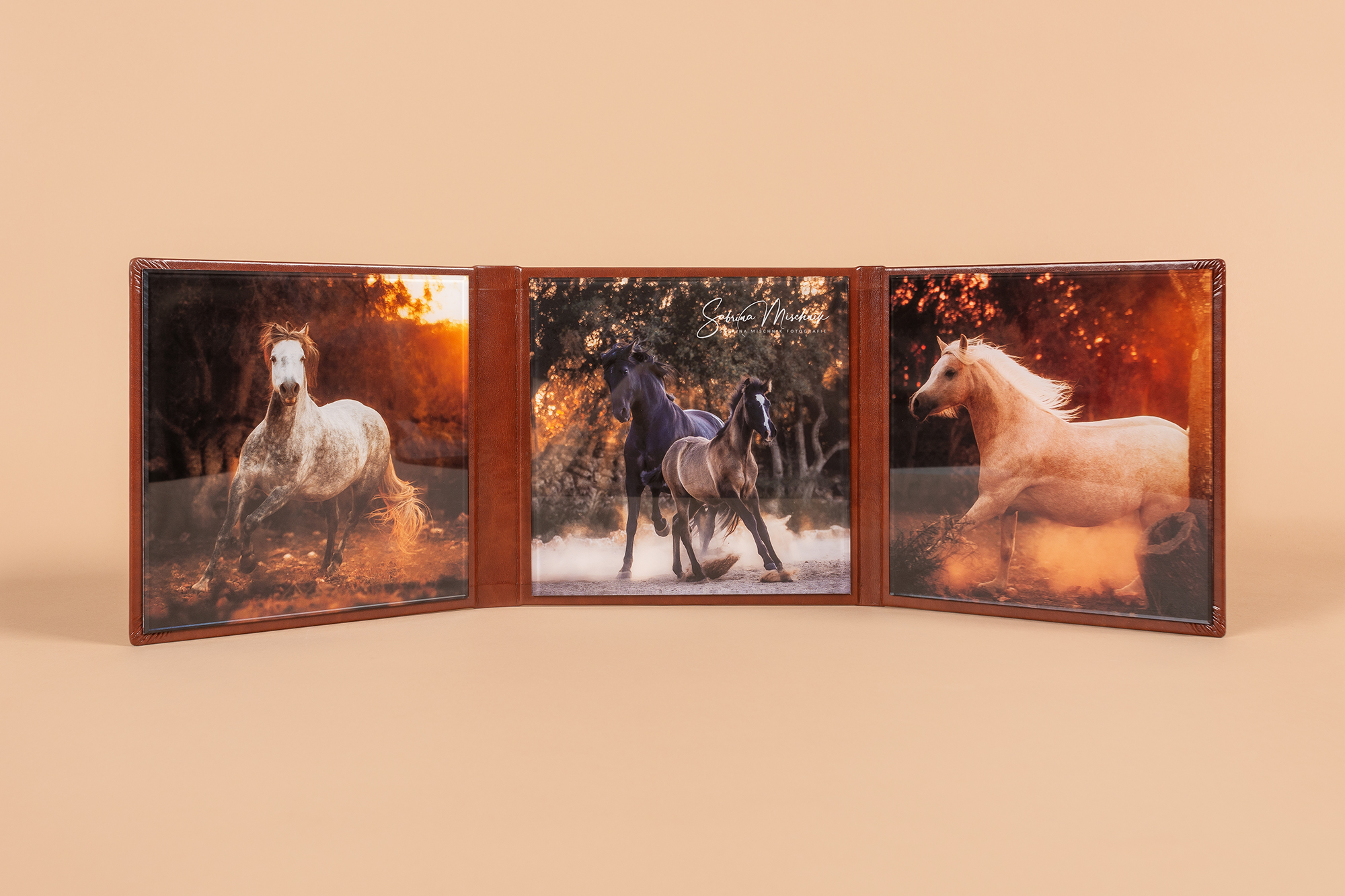 equine photography acrylic trifold