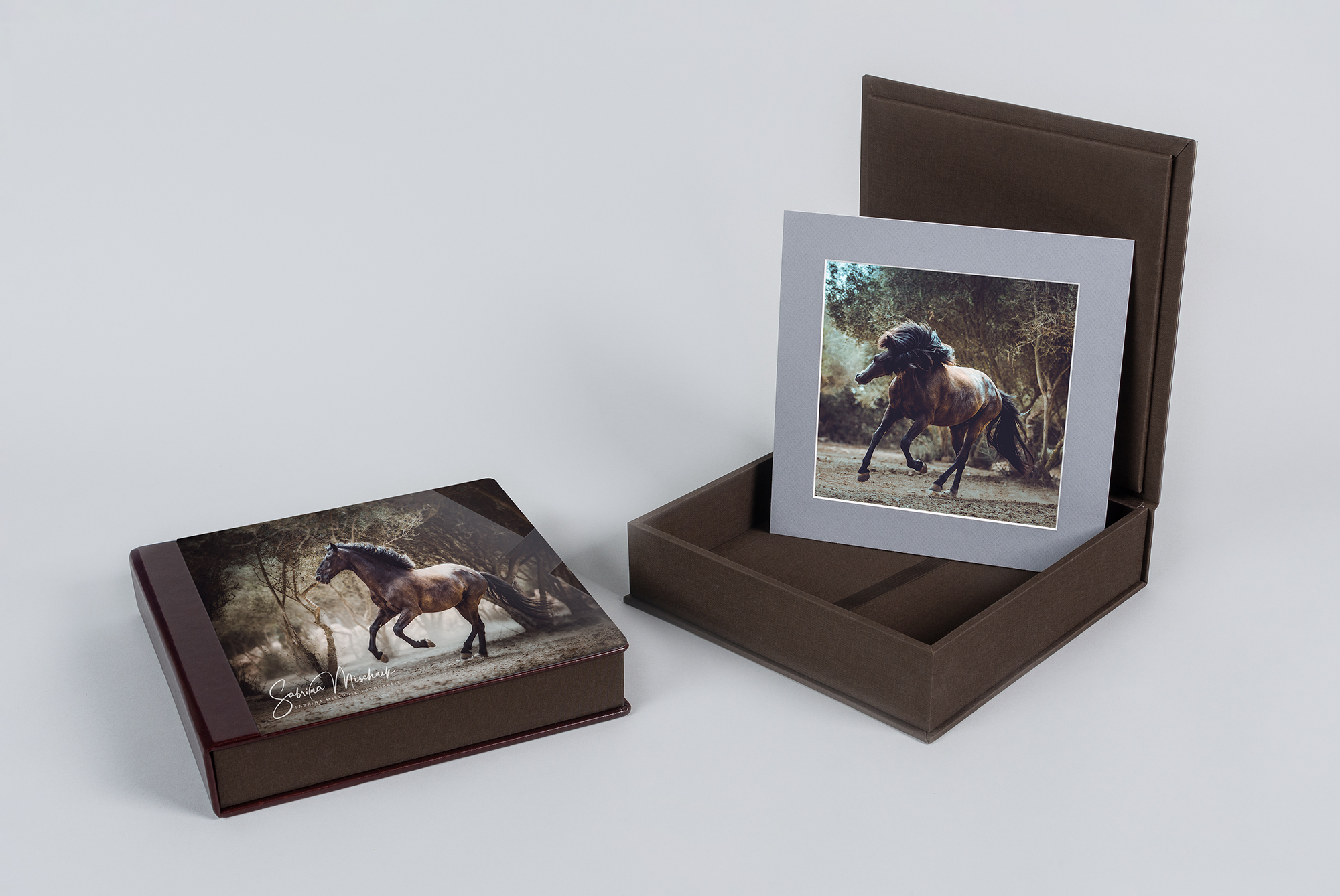 equine photography pet prints