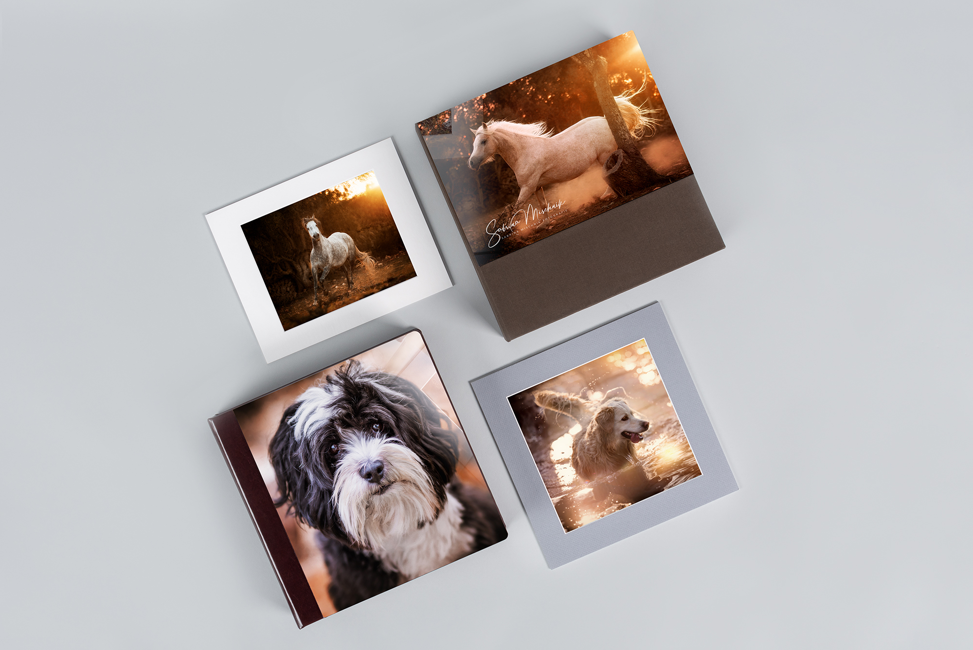 acrylic print products for equine photography and dog photography