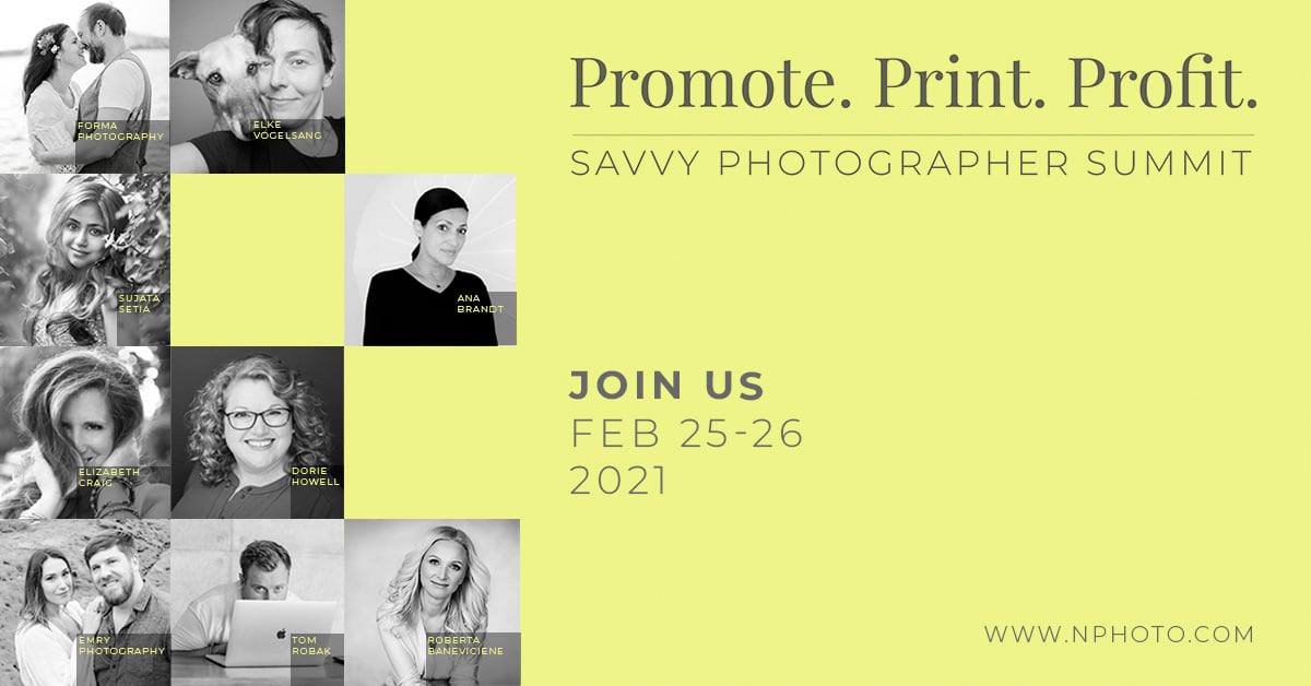 Promote Print Profit Virtual Professional Photographer's Event