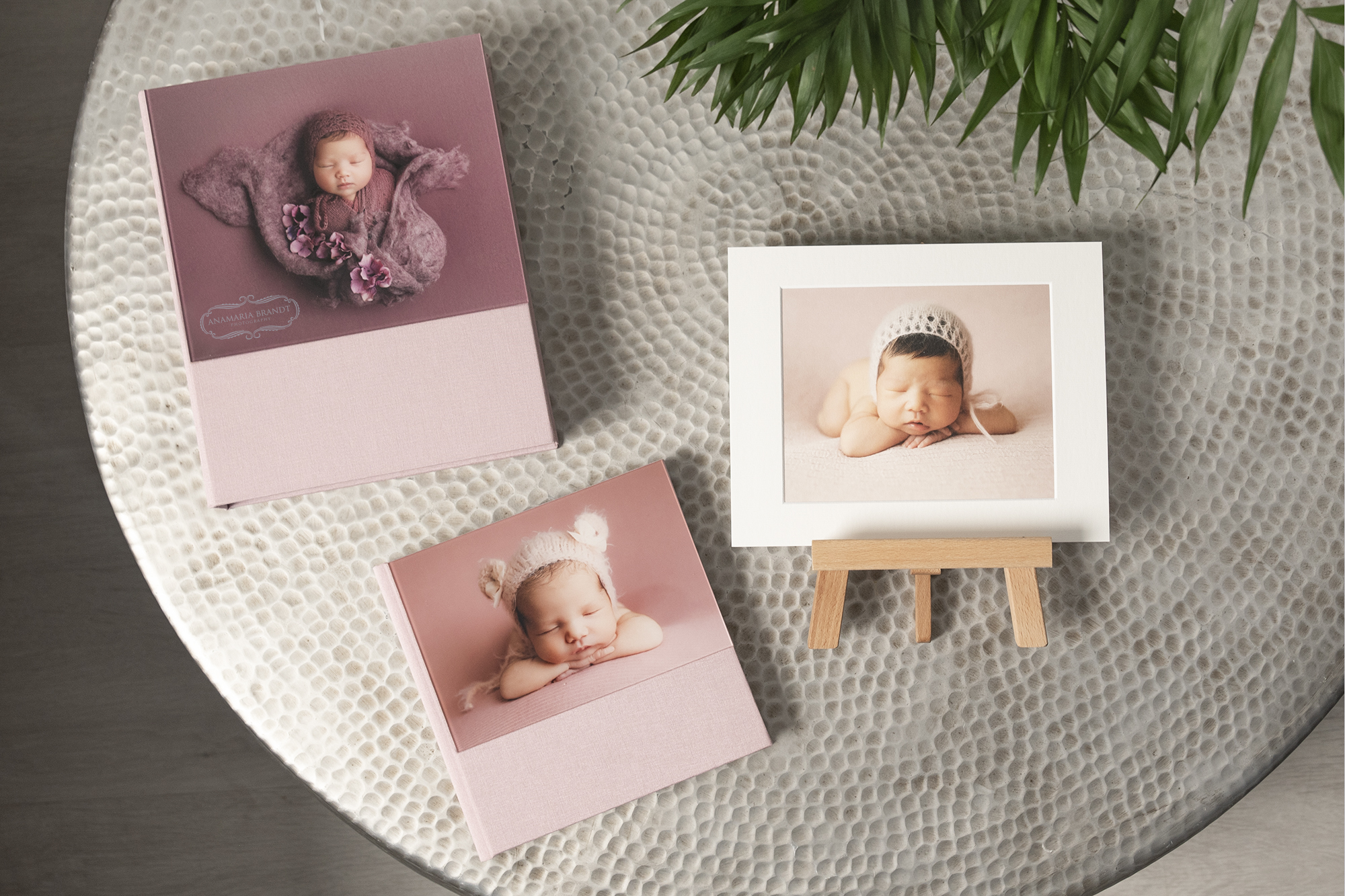 professional newborn photography in acrylic prints