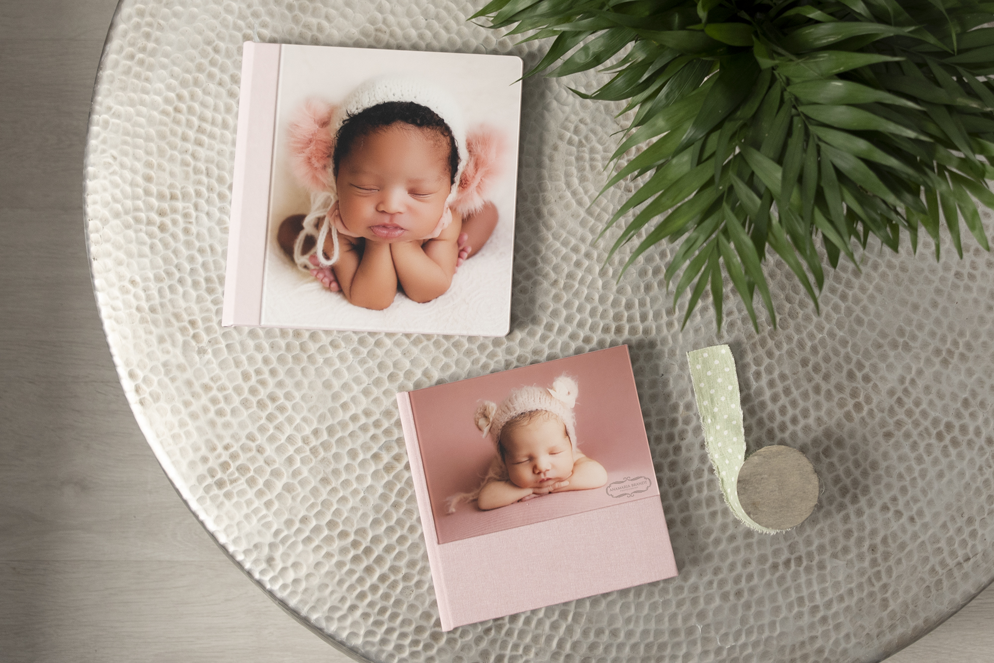 Professional Acrylic Albums for Newborn Photography