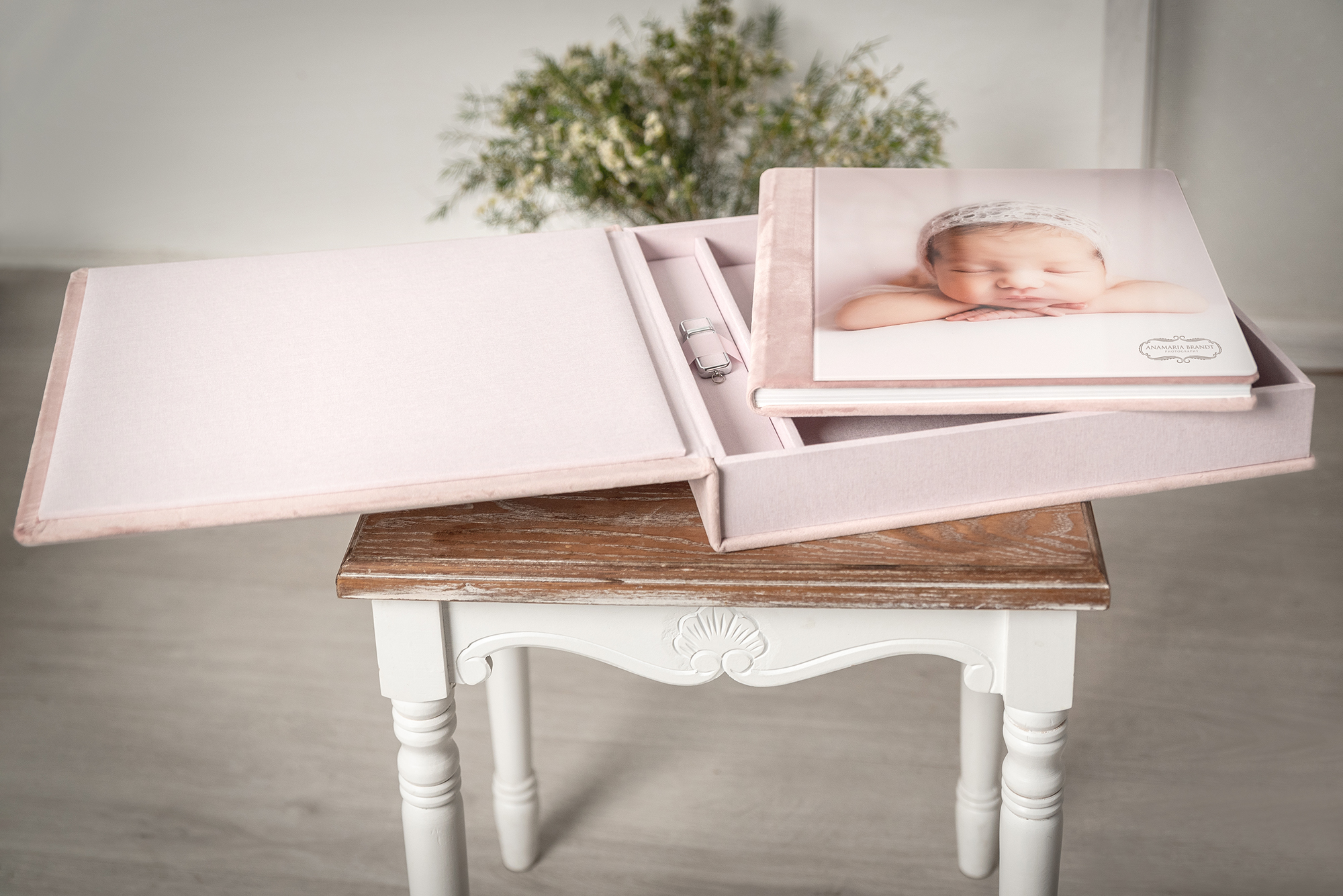 Large acrylic photo album for professional photographers