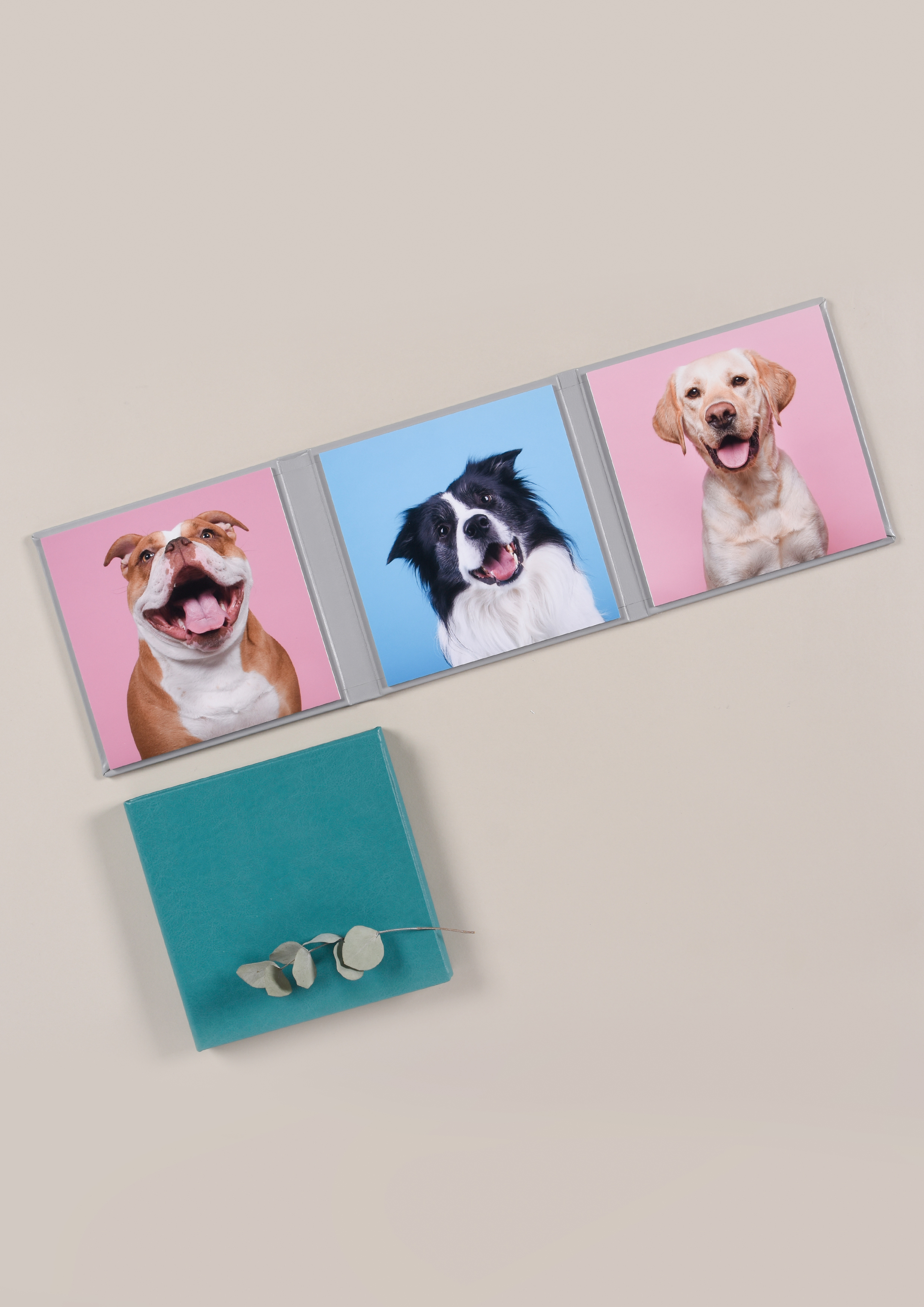 Professional Pet Photography Dog Prints 