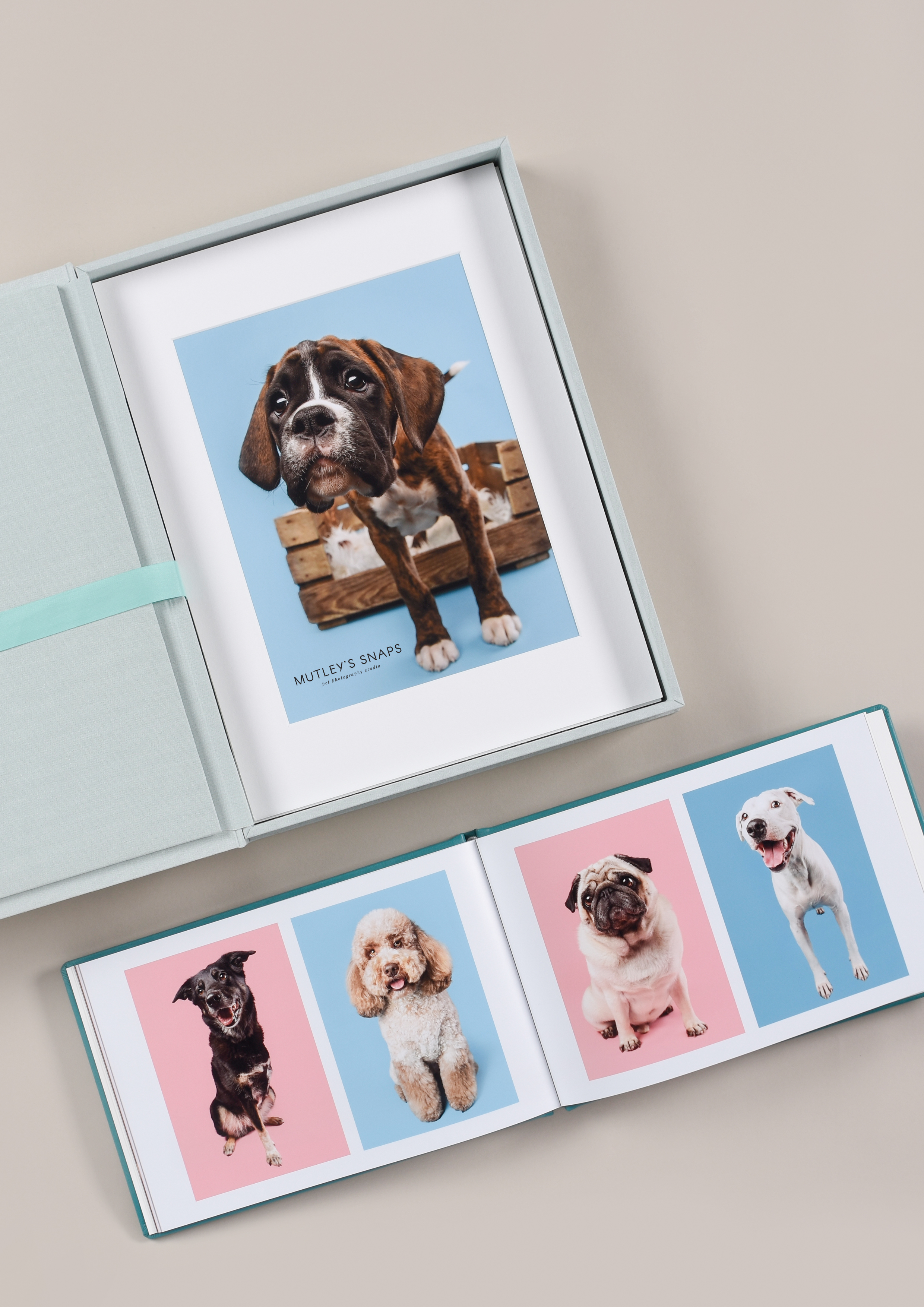 boxed prints with dogs for pet photographers