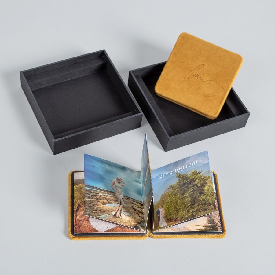 accordion mini book - can photographs reduce pain?